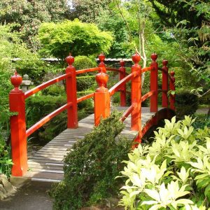 Day Tour to The Japanese Gardens, National Stud & Kildare Village Saturday, 25th October