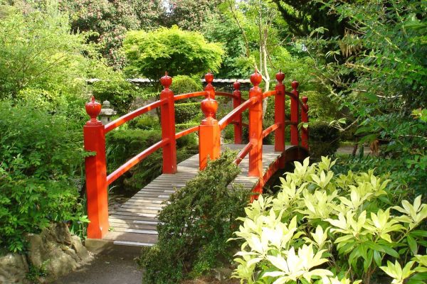 Day Tour to The Japanese Gardens, National Stud & Kildare Village Saturday, 25th October