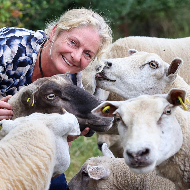 Farm & food tours