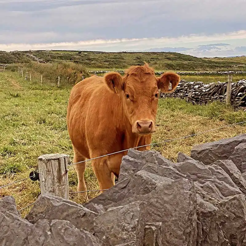 Farm Visit