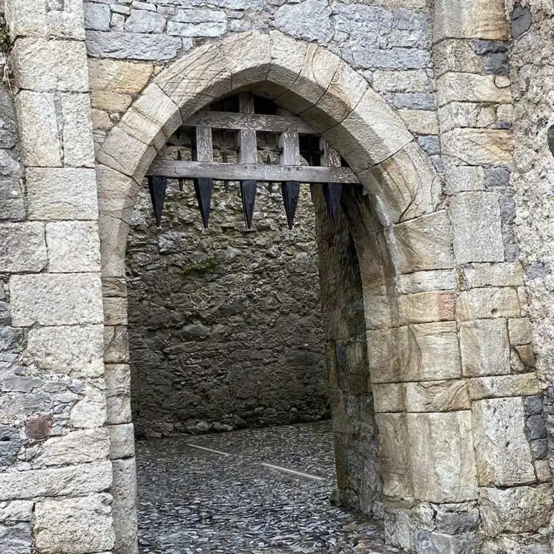Roscrea Visit