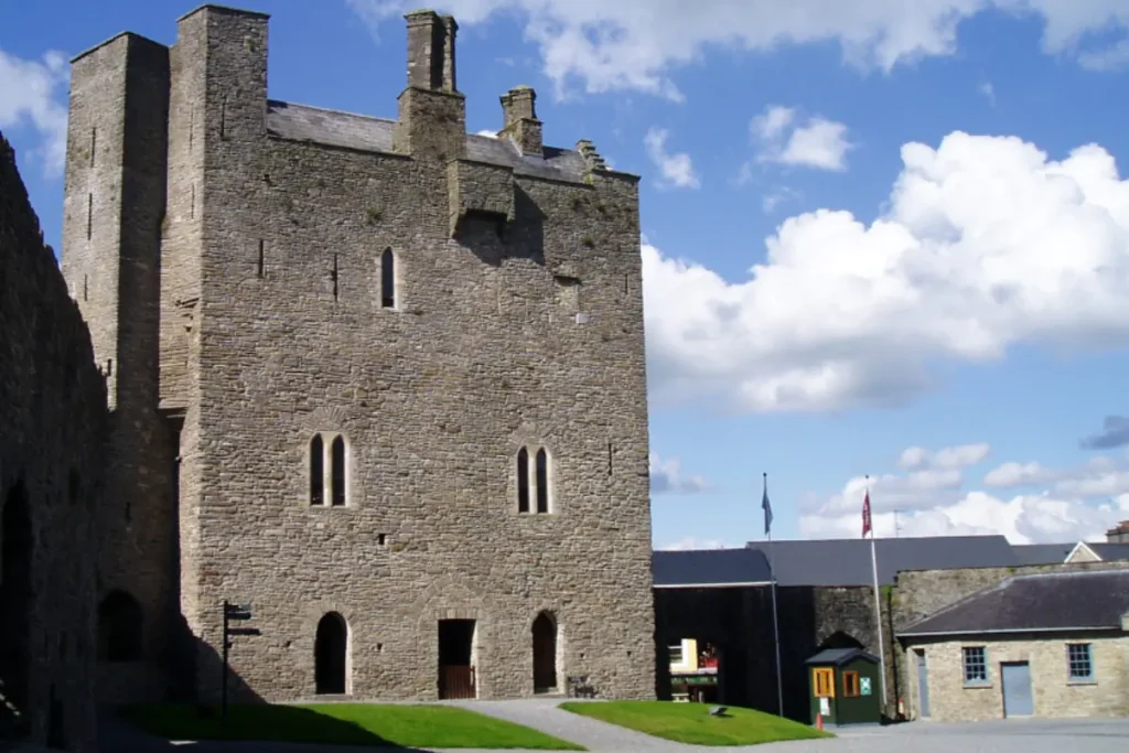 Roscrea Castle. . a view from Damer House