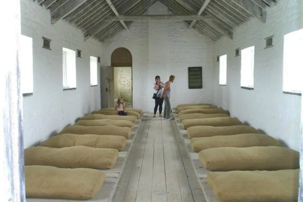 The irish workhouse centre