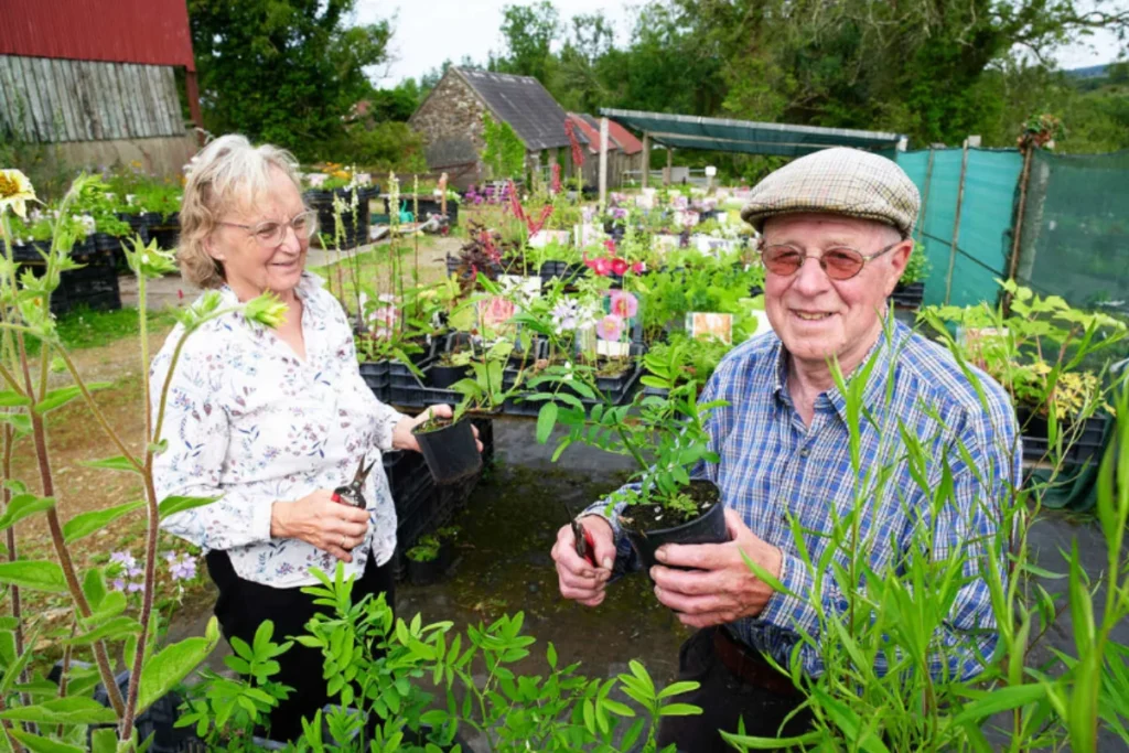 Caherhurley Nurseries 20220815